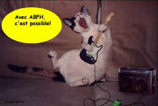 chatguitare copier-humourenvrac